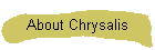 About Chrysalis